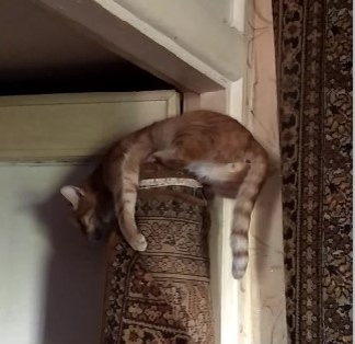 личное фото