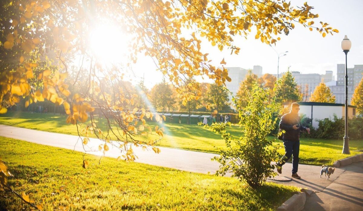     Москва. Источник: mos.ru Автор фото: Пресс-служба Мэра и Правительства Москвы
