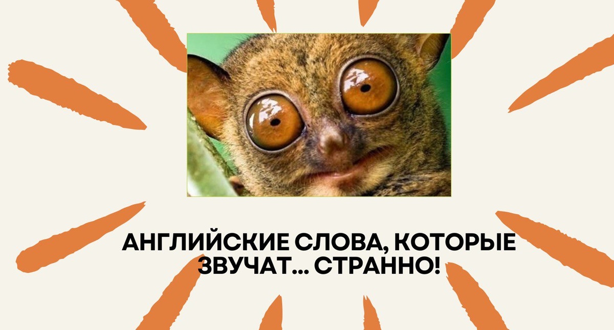 Изображение: Family English