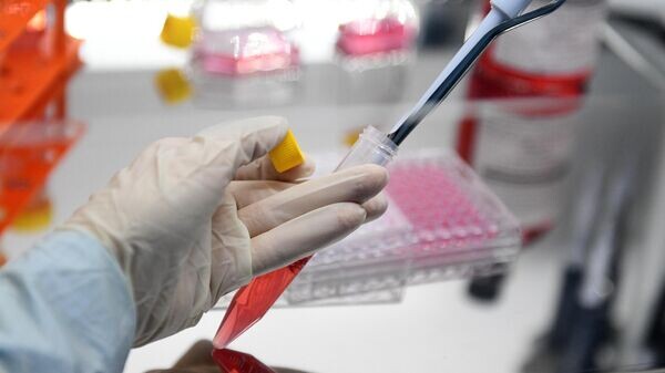    © РИА Новости . Григорий Сысоев