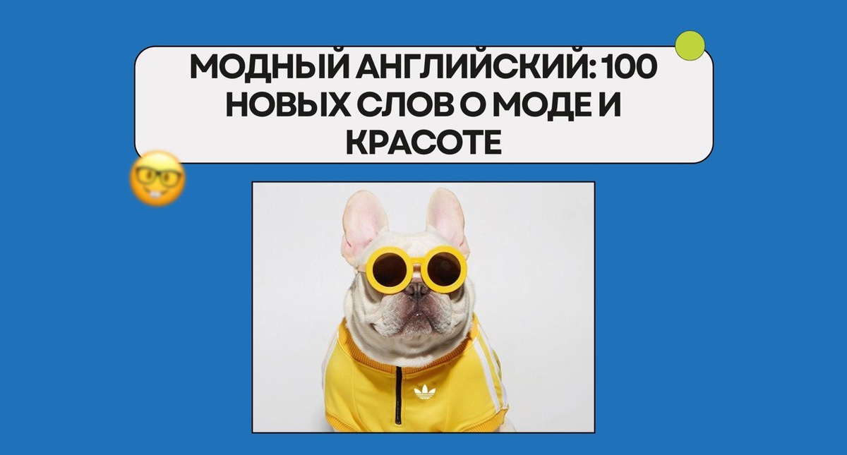 Изображение: Family English