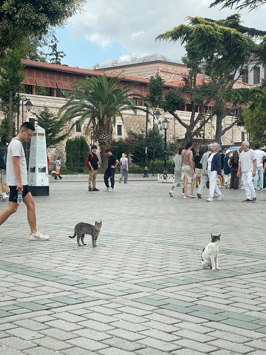 Личное фото автора - Площадь Ипподром