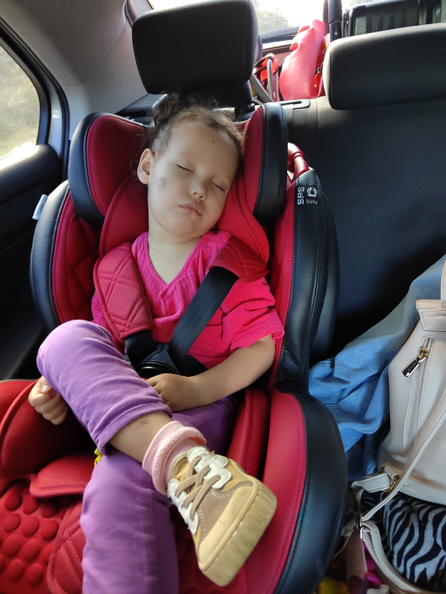 Сразу ясно, кто главный в машине😁