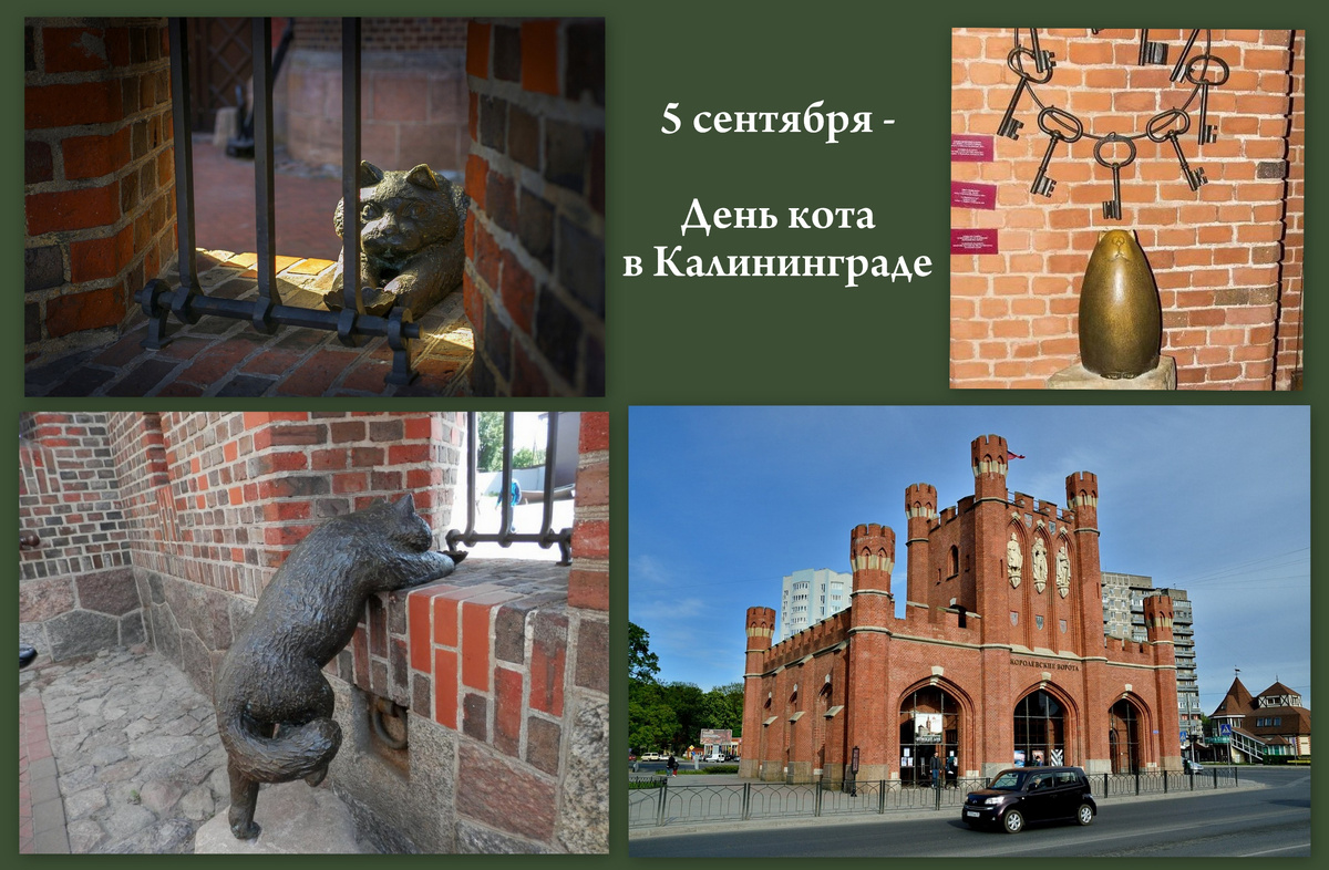 Коллаж автора