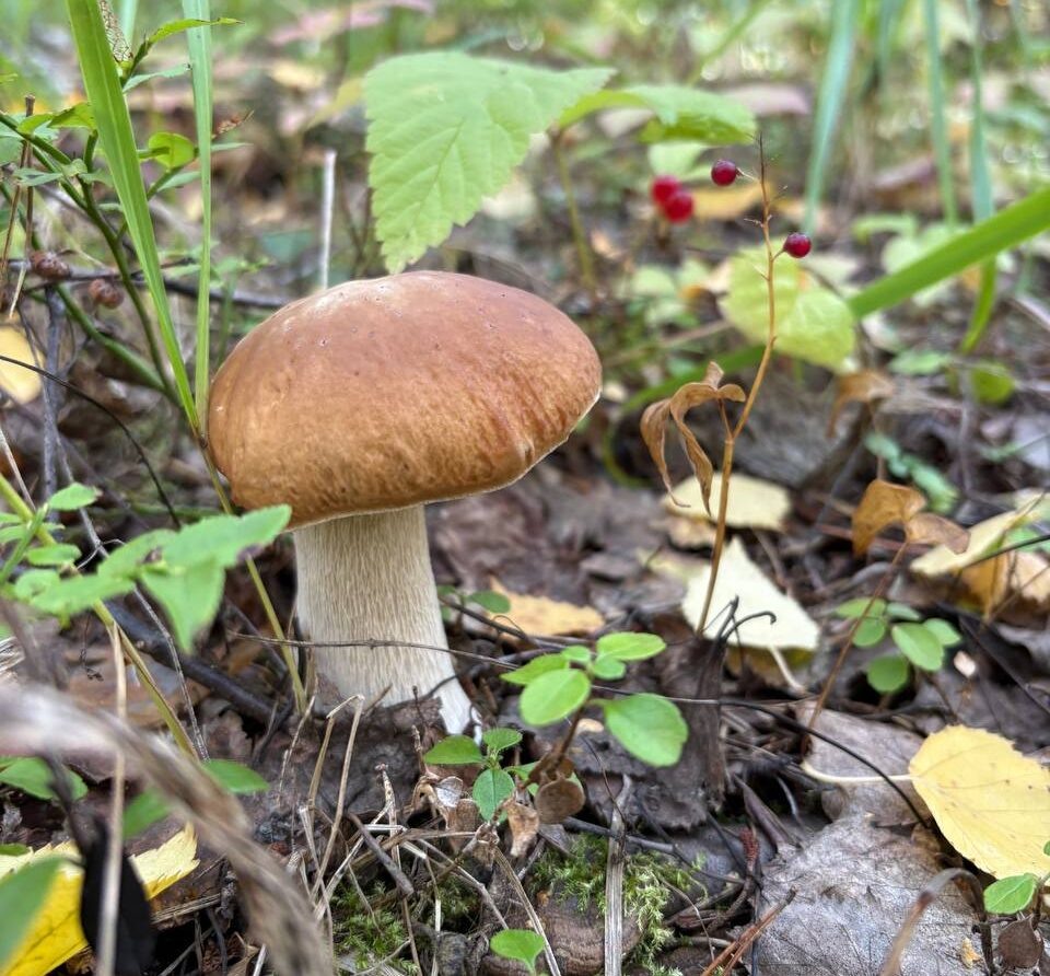    Фото: Олег Ермолаев