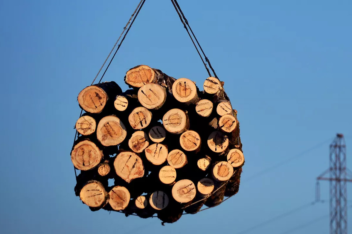    Фото: Павел Лисицын Источник: ria.ru