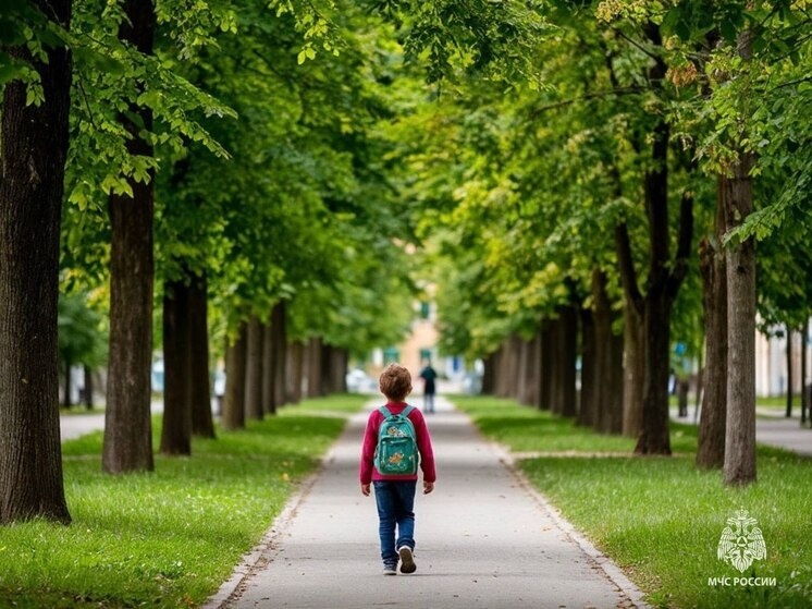     Фото: МЧС России по Псковской области