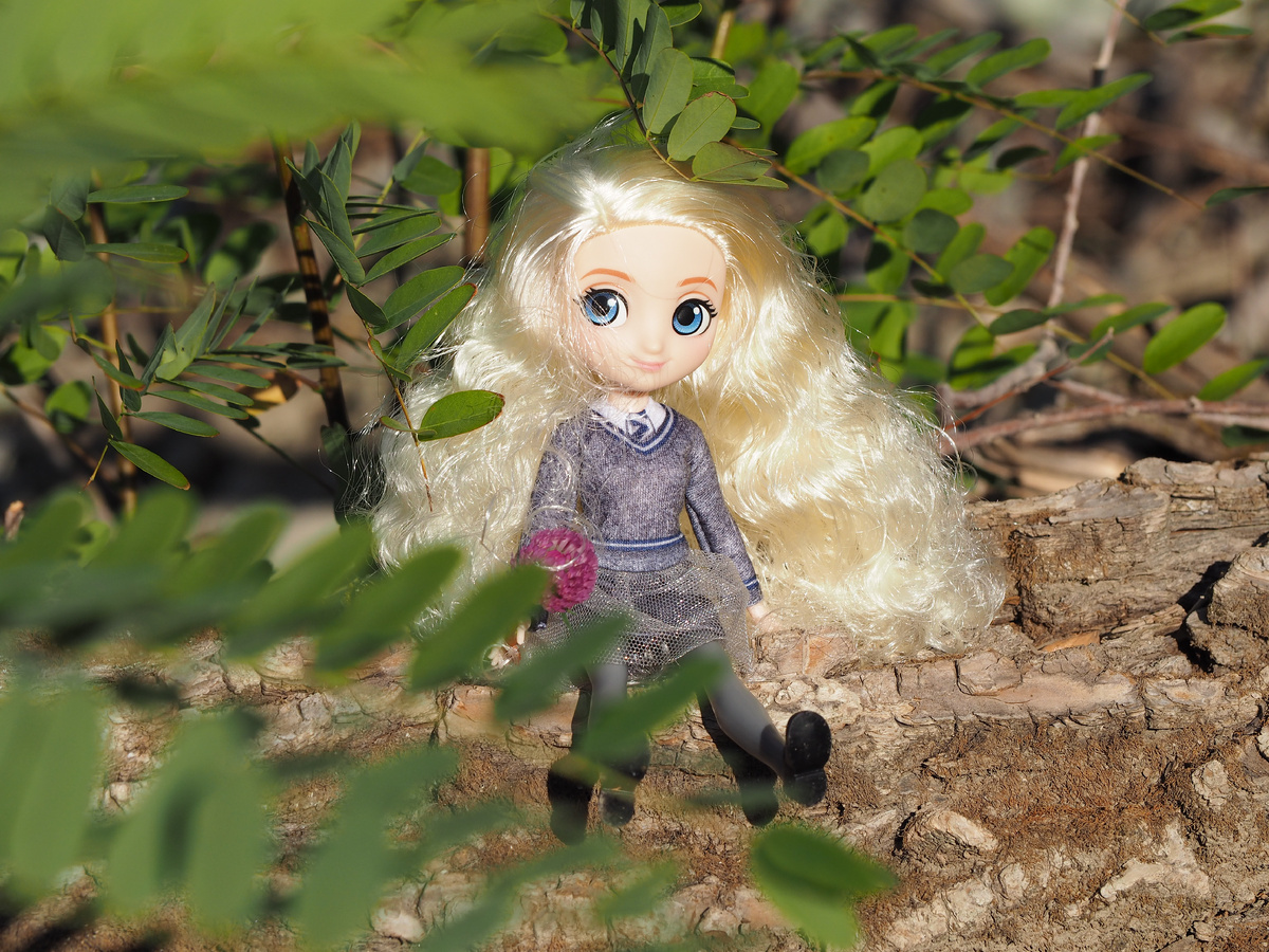 Полумна Лавгуд, Spin Master Wizarding World Harry Potter.