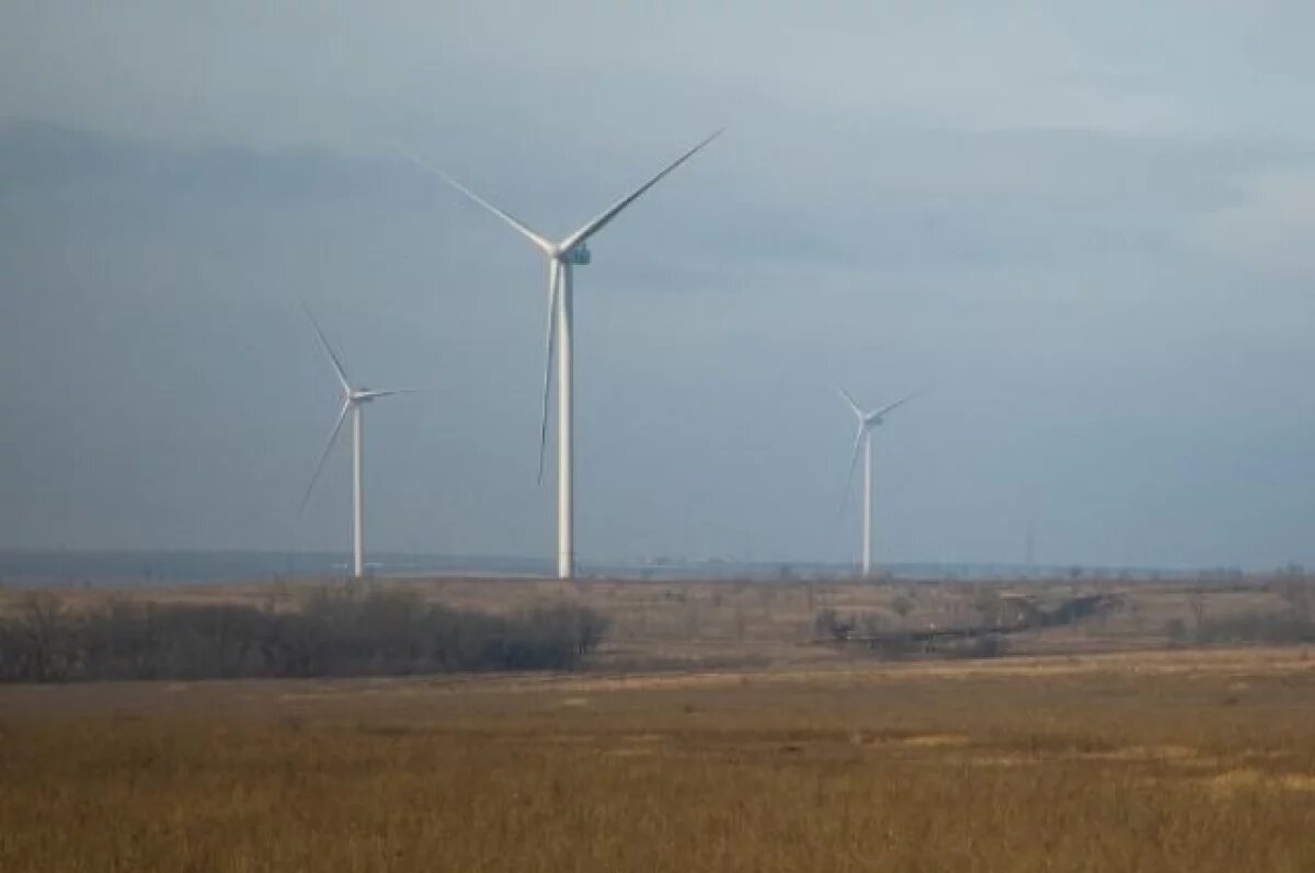    Учёные БФУ создали алгоритм для оценки ветроэнергетики региона