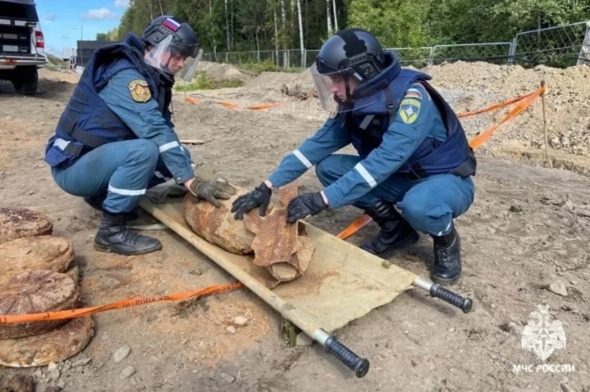    Видео: в Ленобласти у ж/д путей нашли авиабомбу и взорвали её