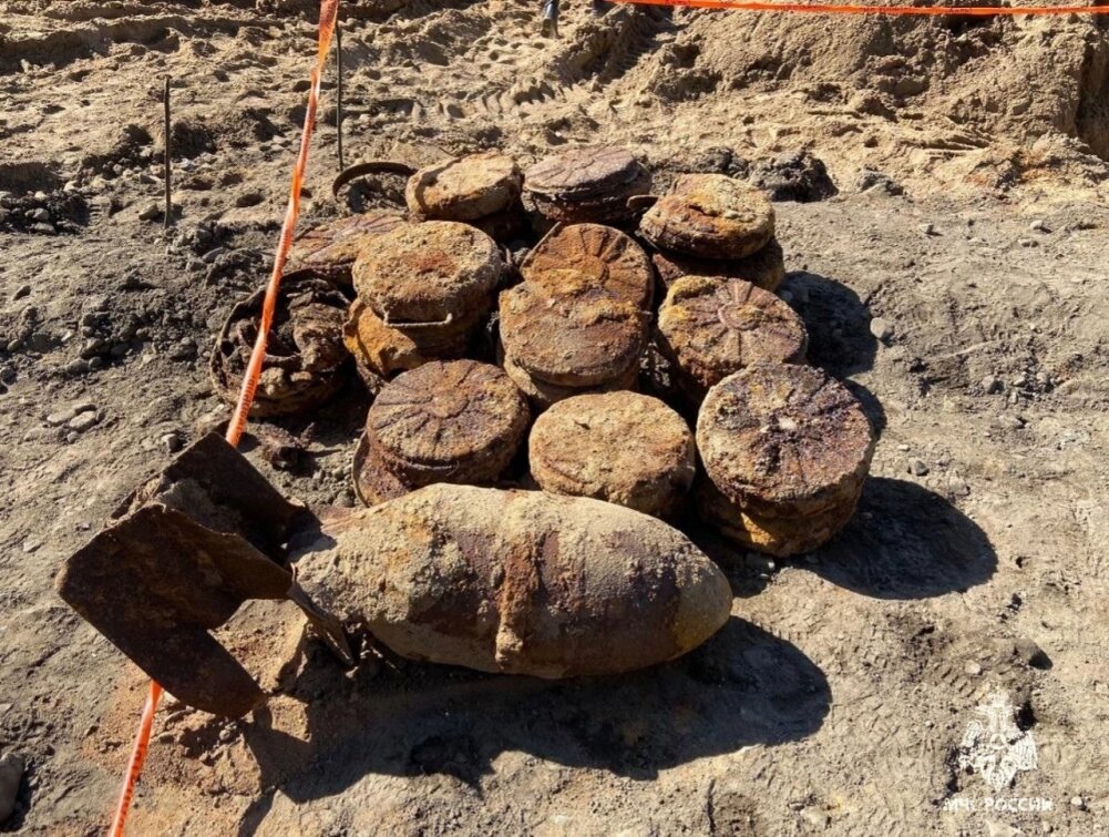    Фото: МЧС Ленинградской области