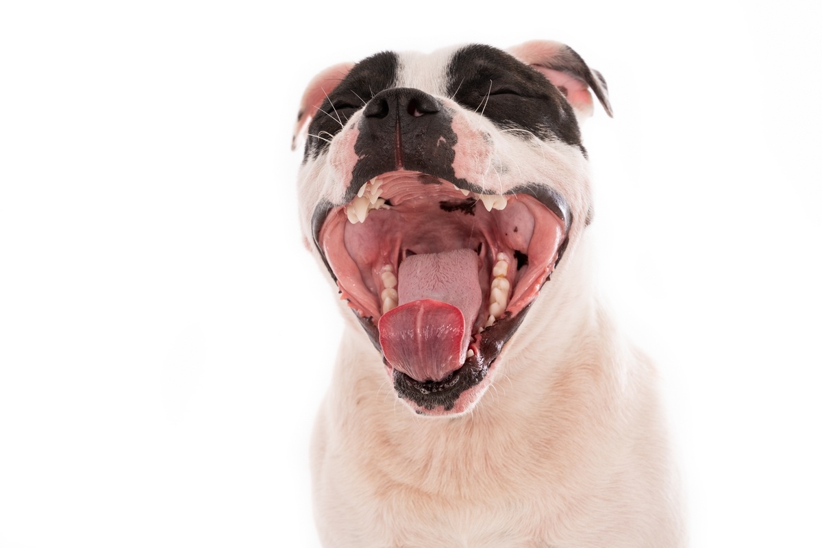   Изображение от wirestock на Freepik