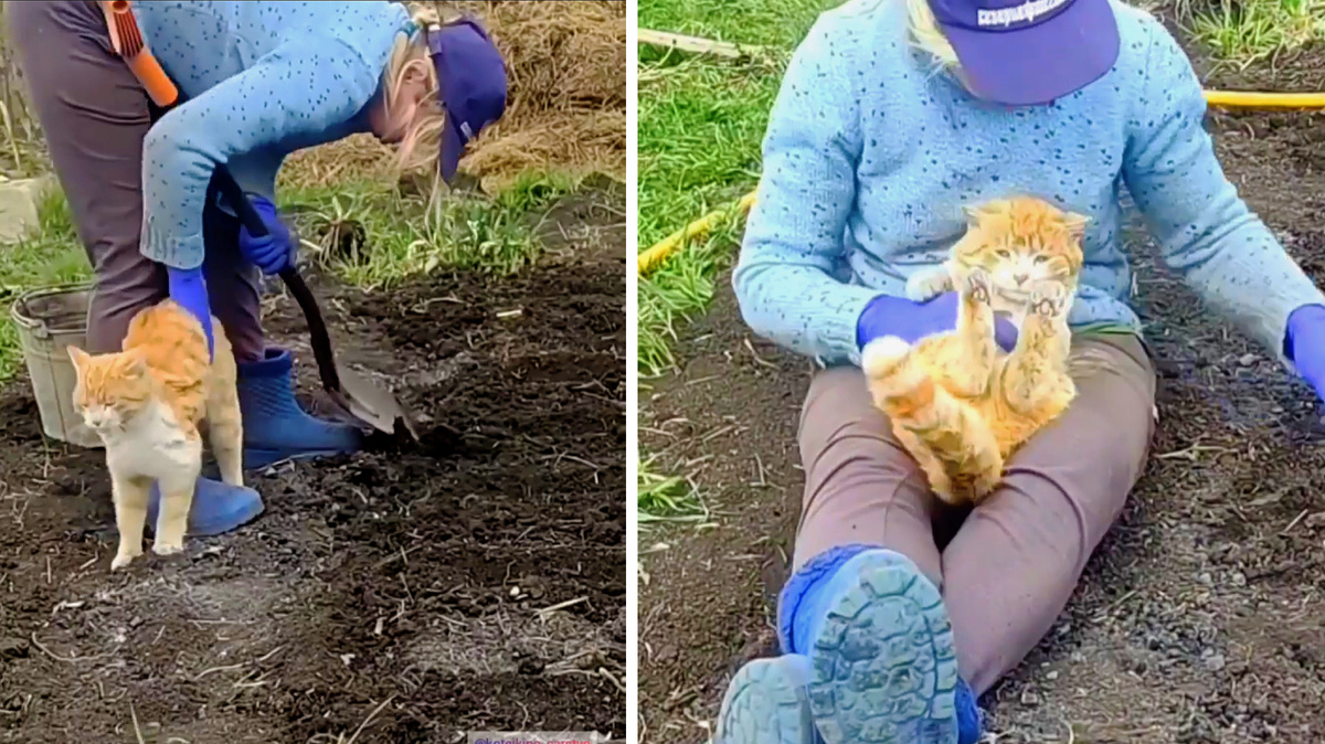 С котиком завсегда интереснее ... Еще фото --->>