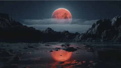 изображение из открытых источников