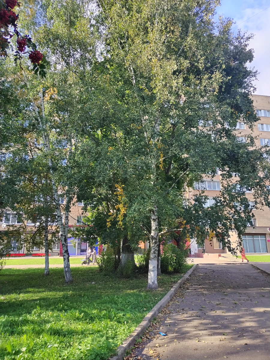 Городские виды. 