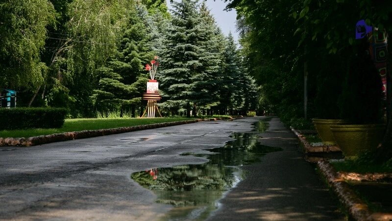      Фото: Валерия Алтухова / / ИА «Победа26»