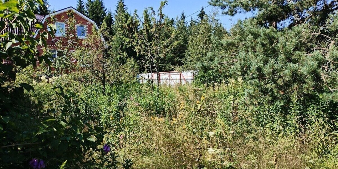 Эксперт Злобин: дача для круглогодичного житья должна быть удобно расположена