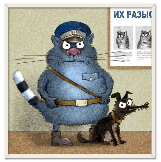 котик Рины Зенюк