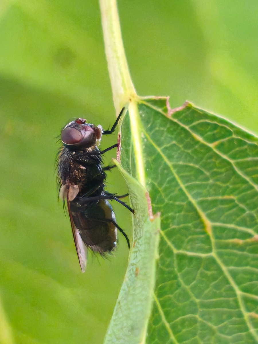 Личное фото