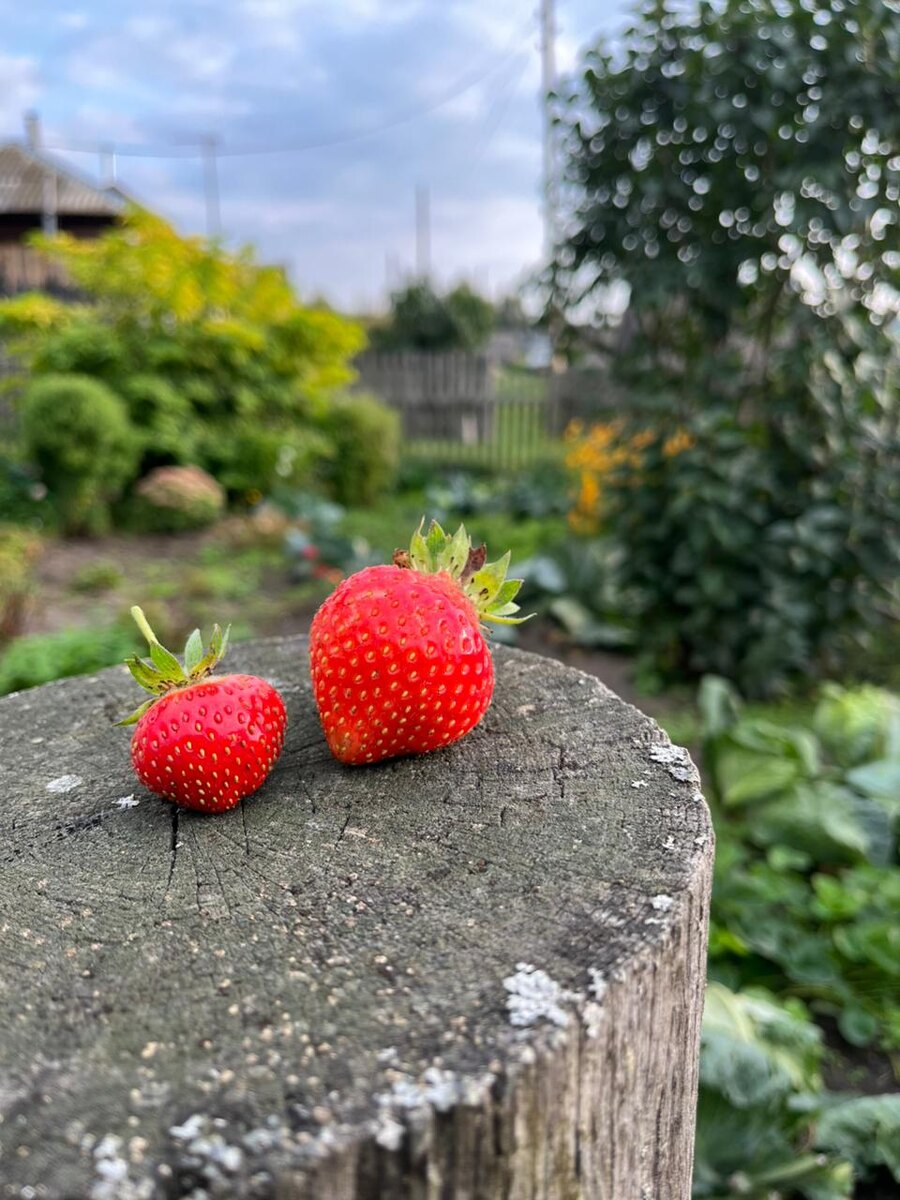 Личное фото