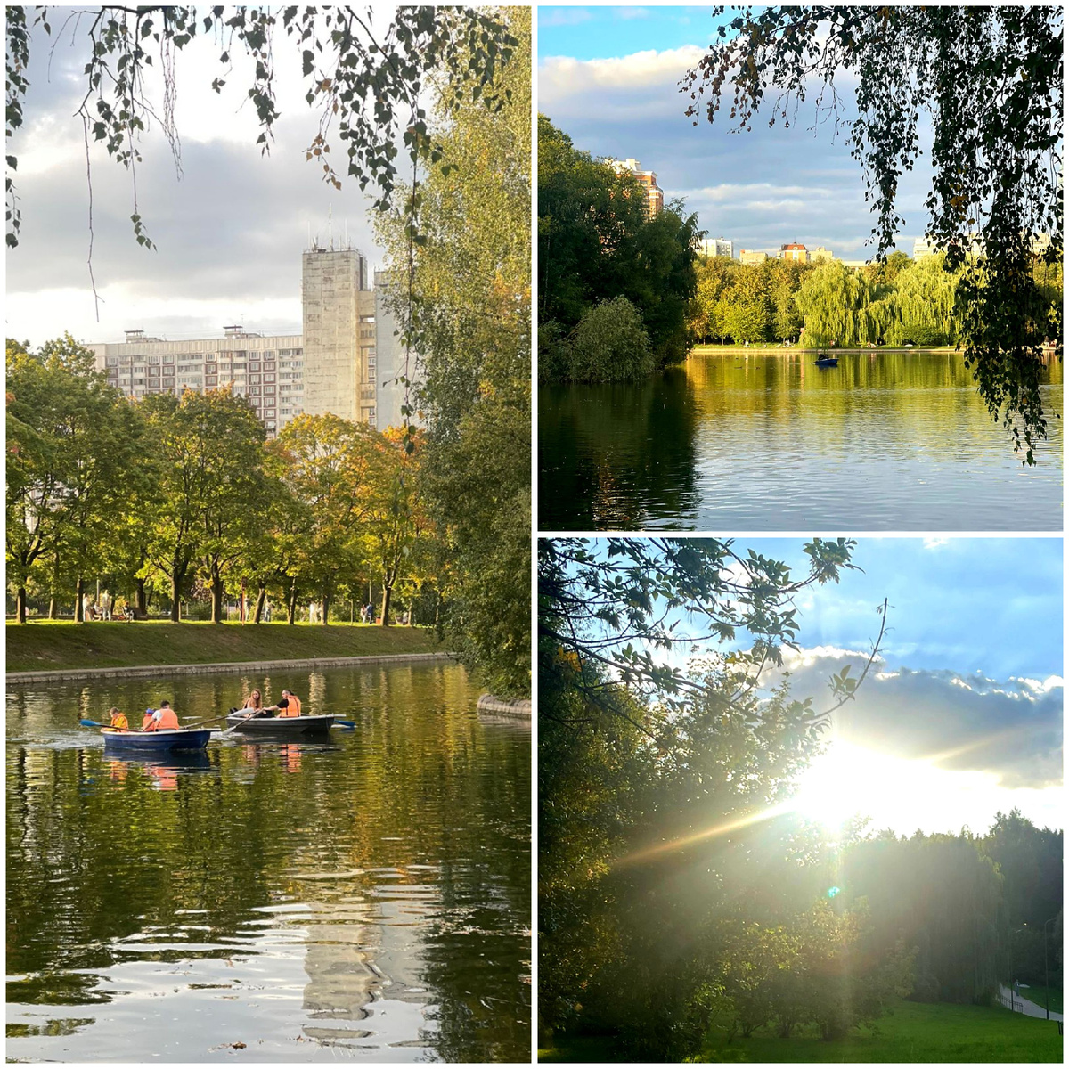 Коллаж автора 06.09.2025г.