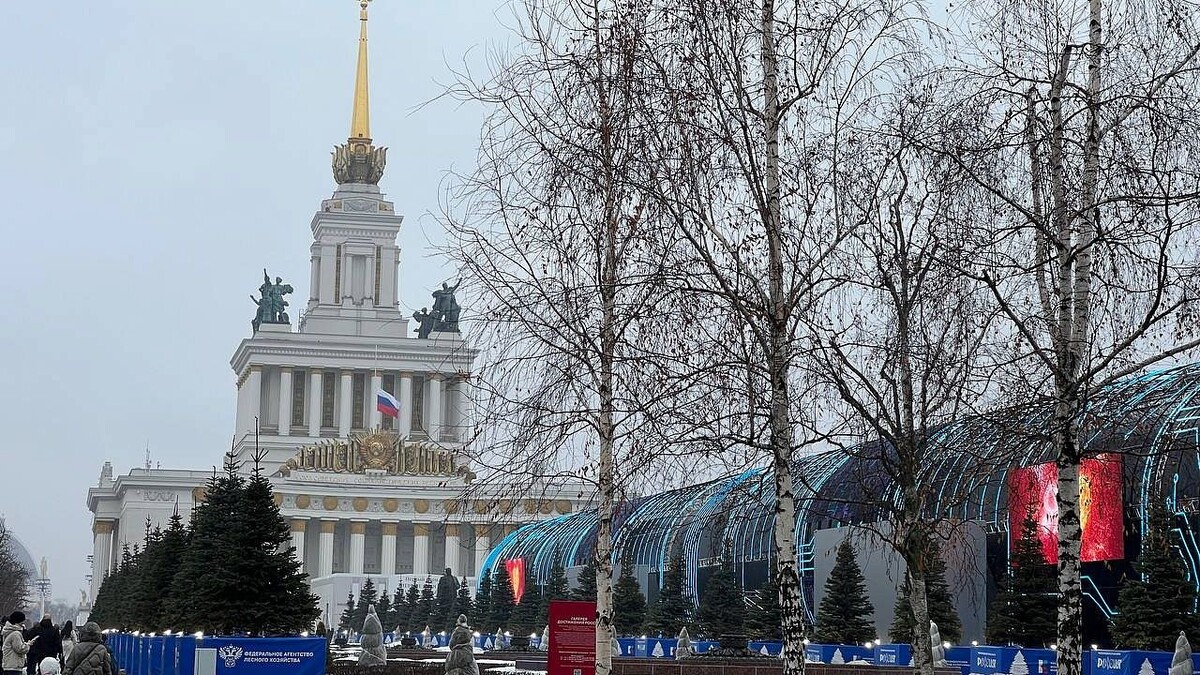    Фото: архив телеканала «Краснодар»