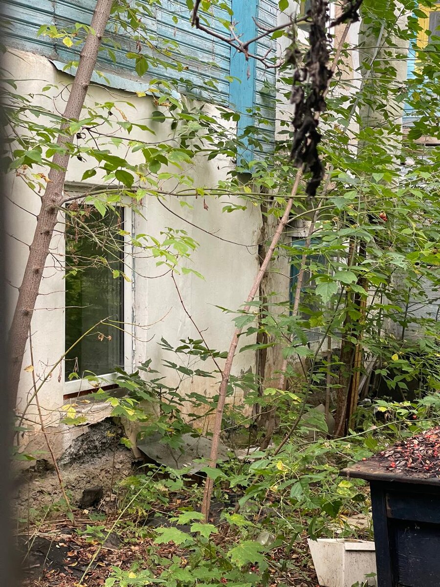 Во дворе дома