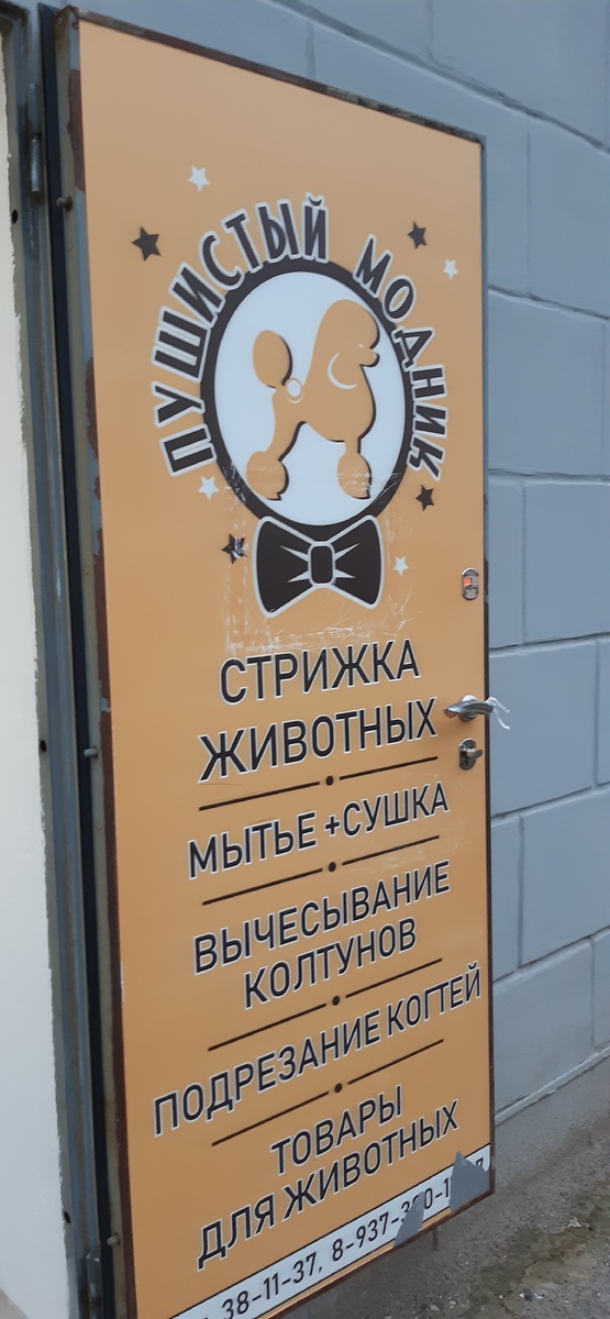 Салон груминга "Пушистый модник" по адресу: ул. Ленинградская, д.24