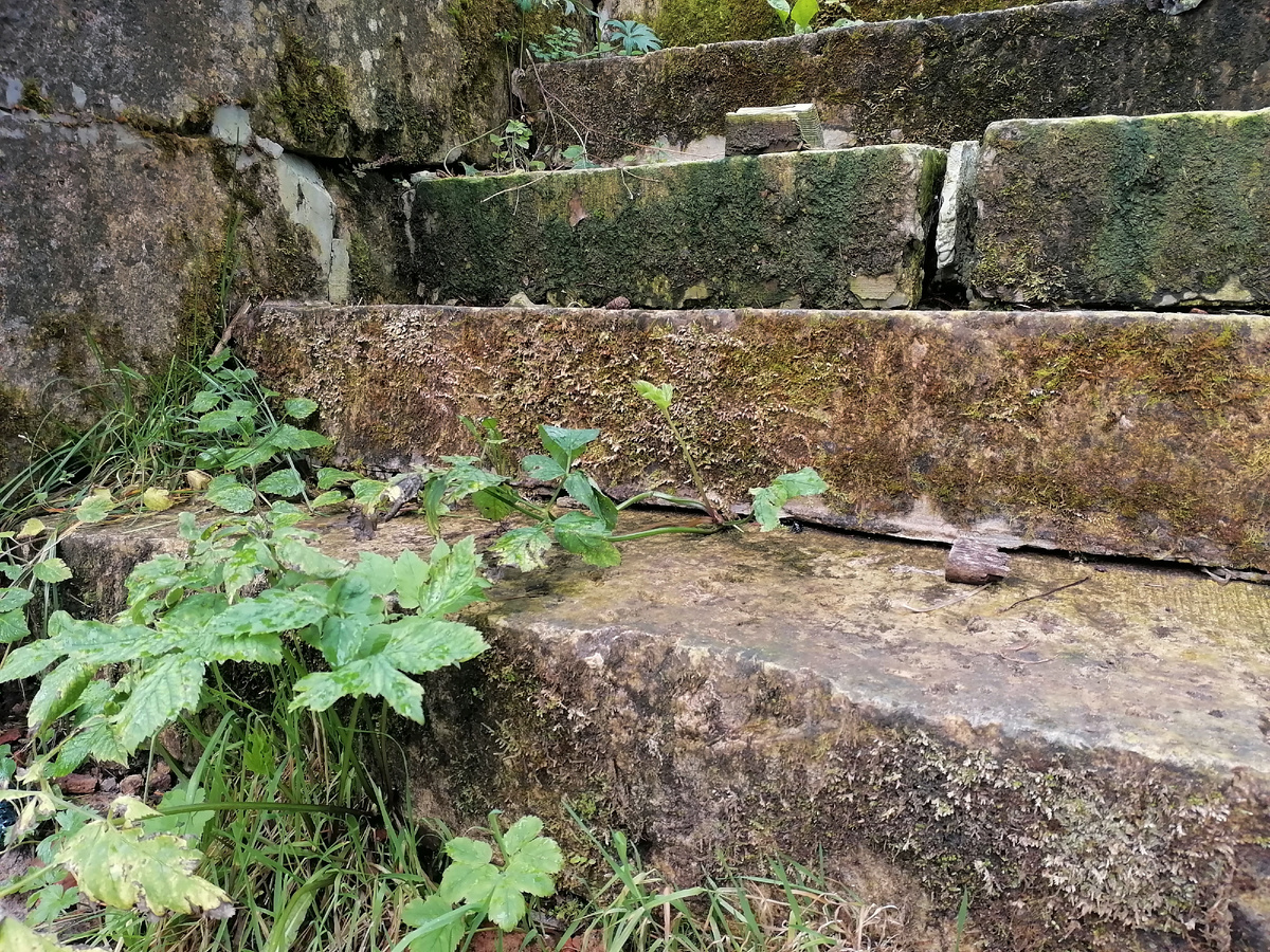 Хотнежа. Храм Покрова Пресвятой Богородицы.
