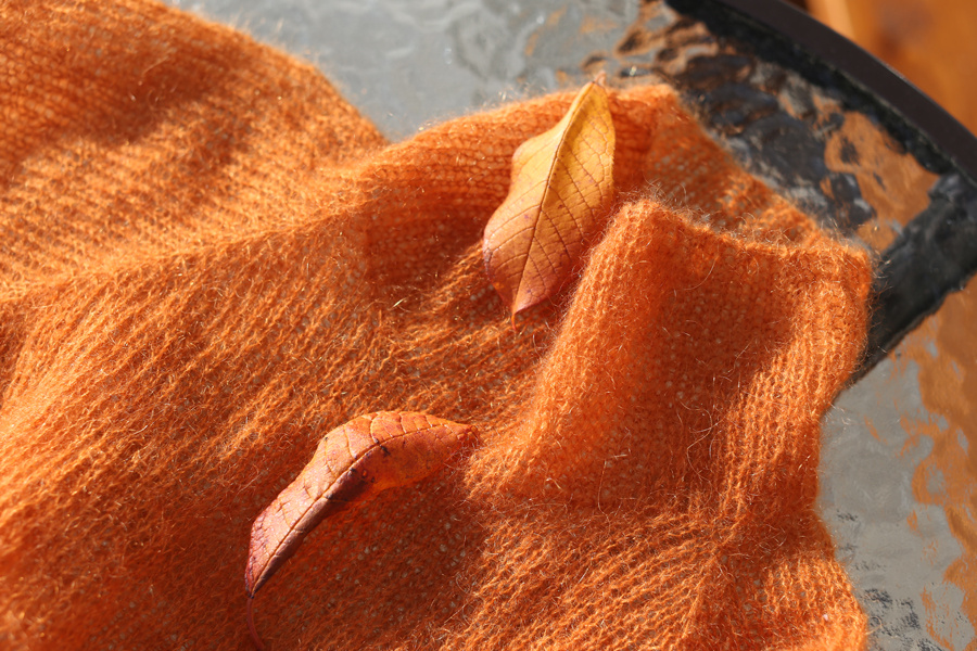 "Рыжик" в листьях черемухи