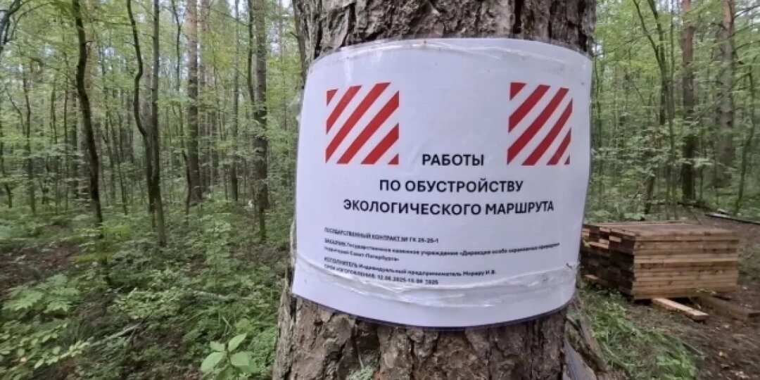 В «Новоорловском» заказнике на севере Петербурга создают новый экомаршрут