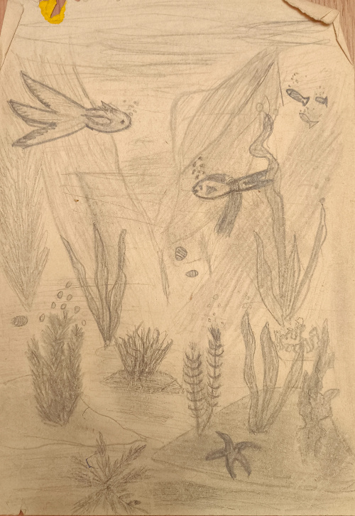 вот такой рисунок был)