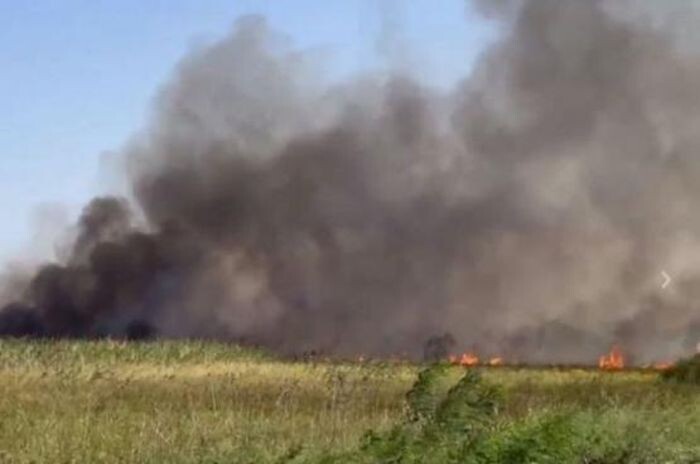 Иллюстрация: © «Панорама»