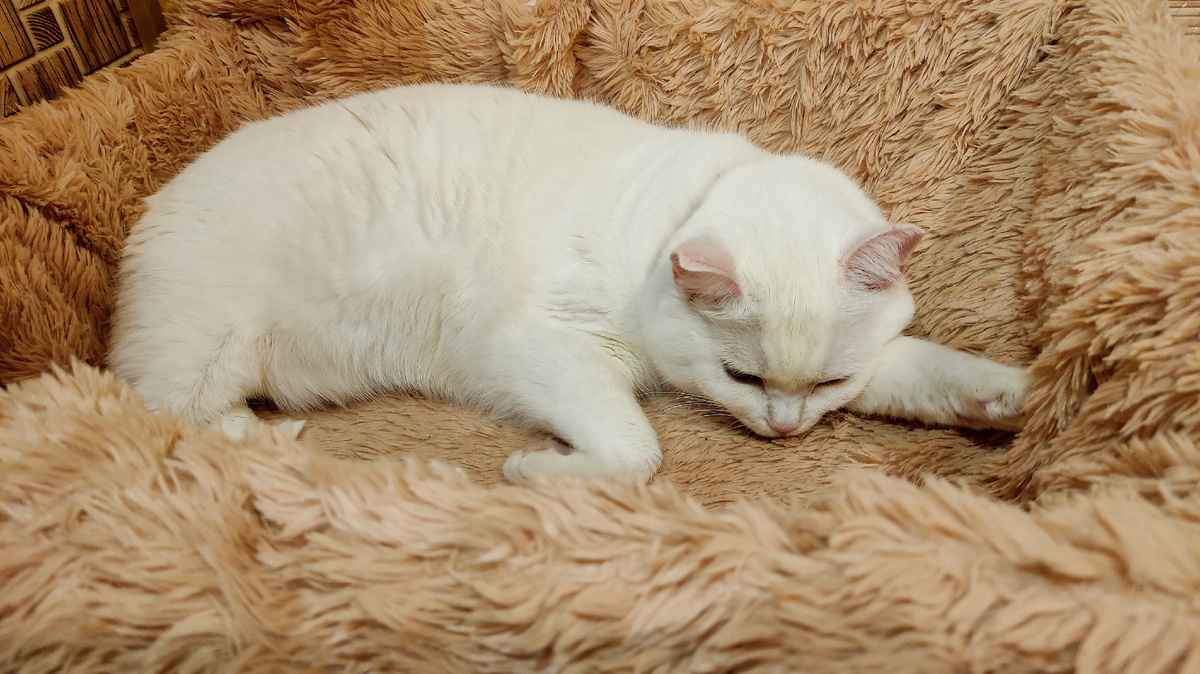 Сонечка весьма уважает свою коробочку --->> ЕЩЕ ВАРИНТЫ --->>