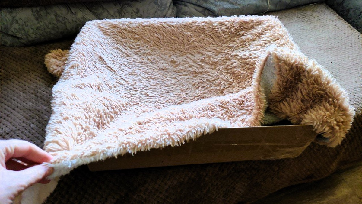 Что из этого вышло --->> ЕЩЕ ФОТО --->>