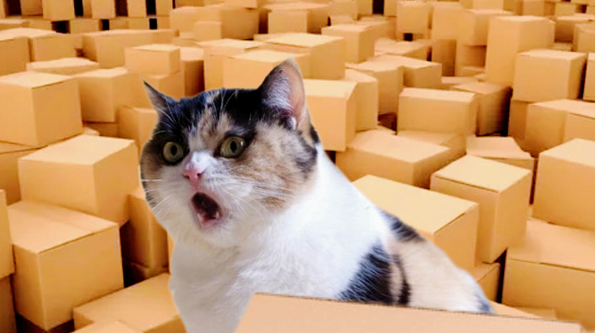 Да это же Диснейленд!