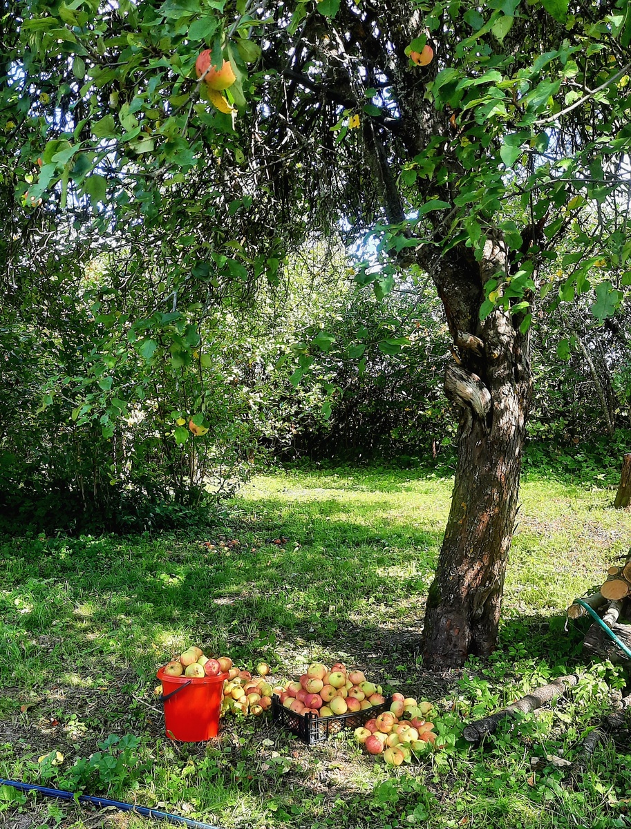 Фото автора.