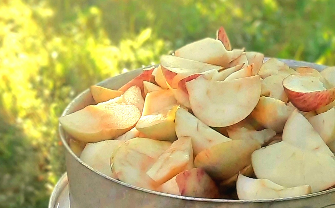 Фото автора.