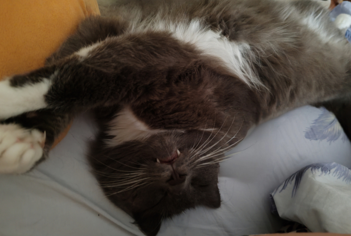 Фото автора канала. 