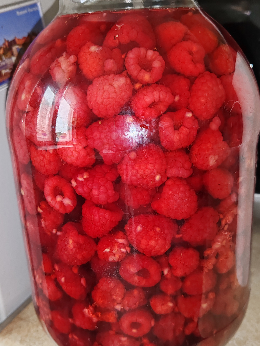 Фото автора канала. 