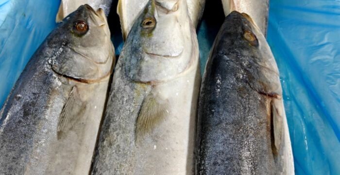 Иллюстрация: © «Панорама»