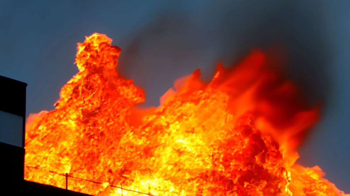    Фото: Fernando Astasio Avila/Shutterstock/Fotodom