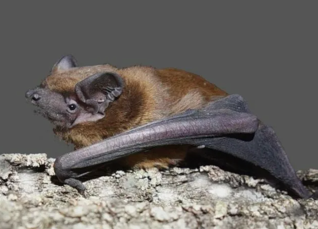 Поставь лайк!