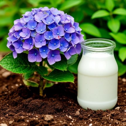 Кисломолочная подпитка