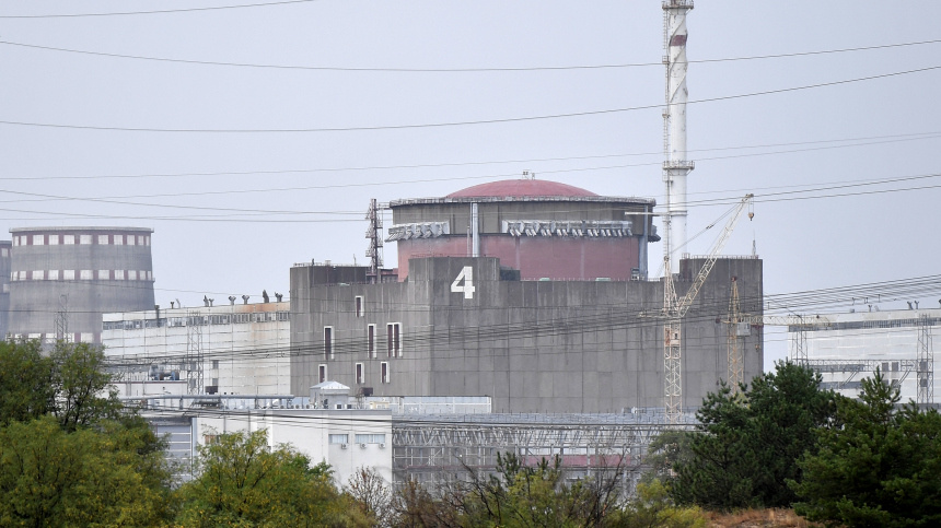    Фото: © РИА Новости/Константин Михальчевский