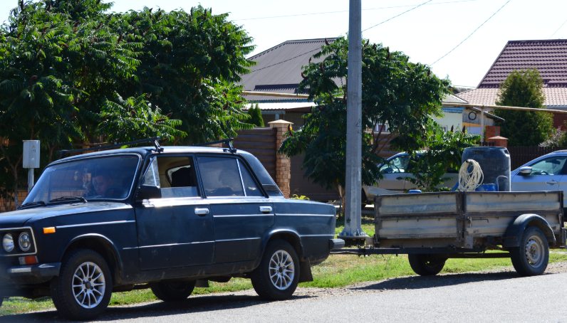 Фото автора. 06.09.2025. Станица. Деловые люди.