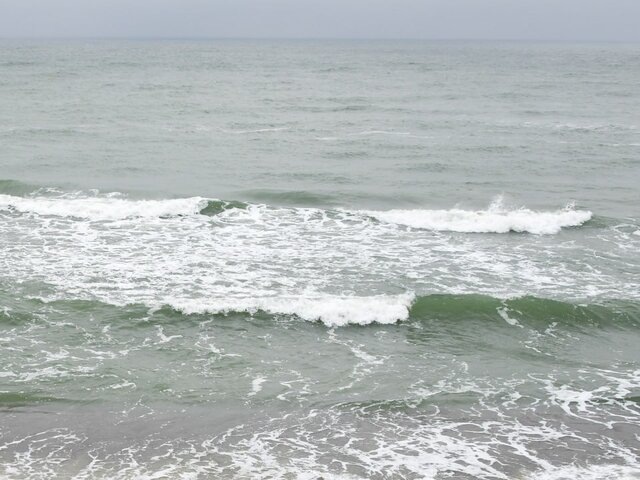    Фото: Москва 24/Антон Великжанин