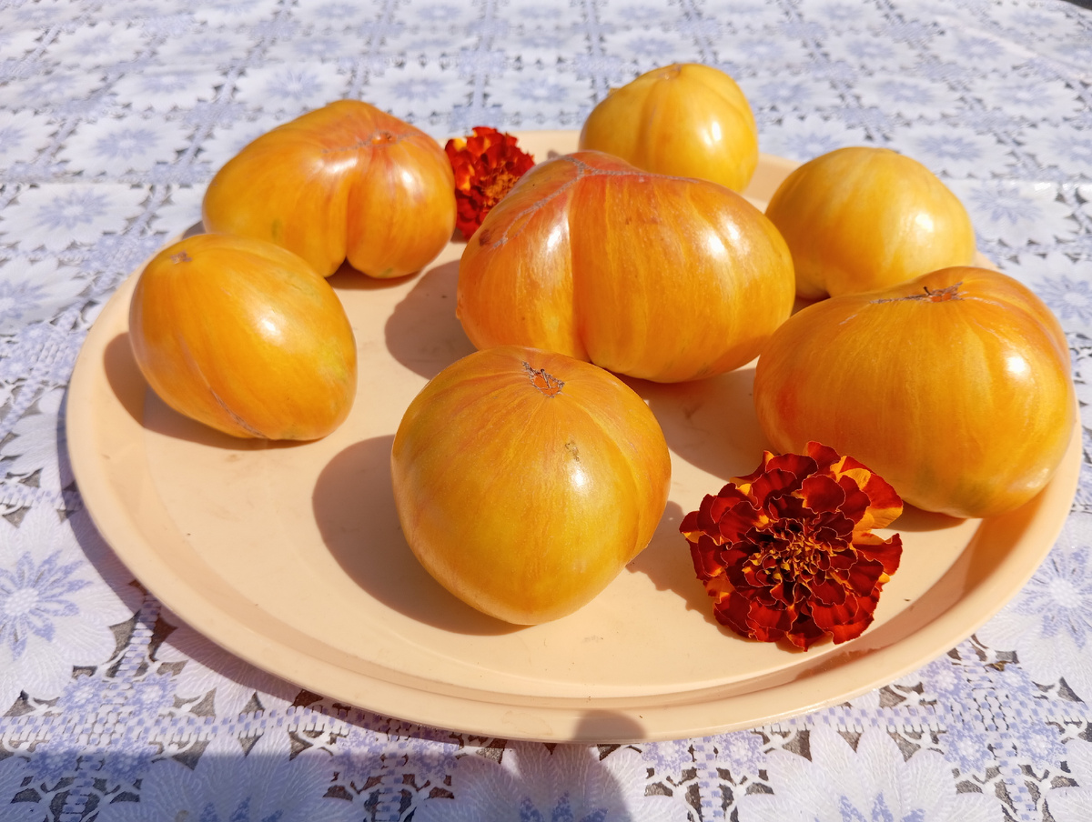 ЛИСТАЙТЕ ВПРАВО