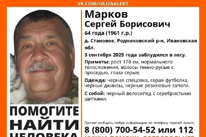 В Ивановской области обнаружено тело пропавшего грибника