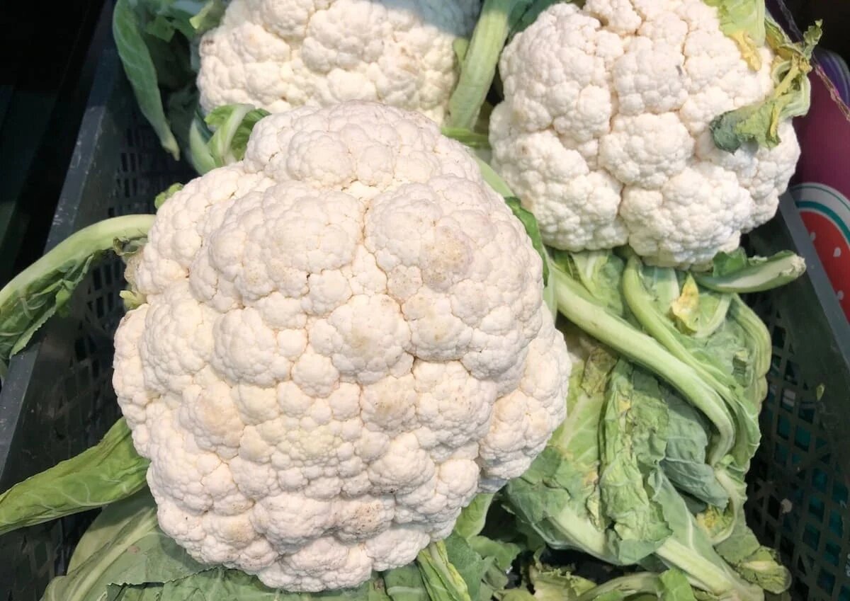 Фото: UfaTime.ru